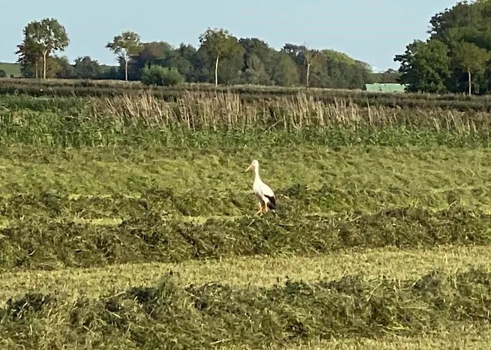 G30 By Interhome Butjadingen